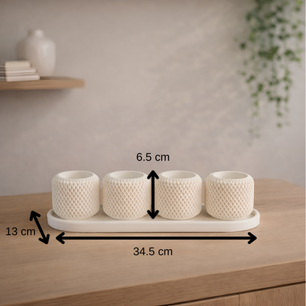 Facet Grid Sukulent Beton Saksı – 4'lü (Tepsili)