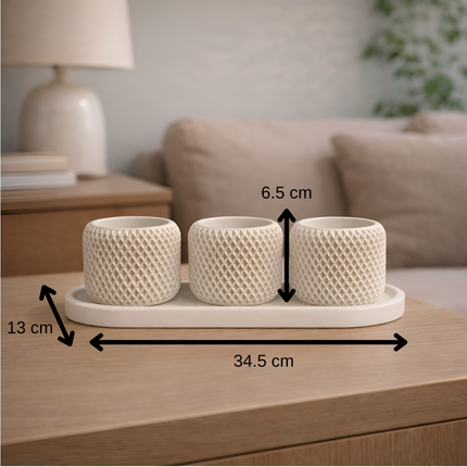 Facet Grid Sukulent Beton Saksı – 3'lü (Tepsili)