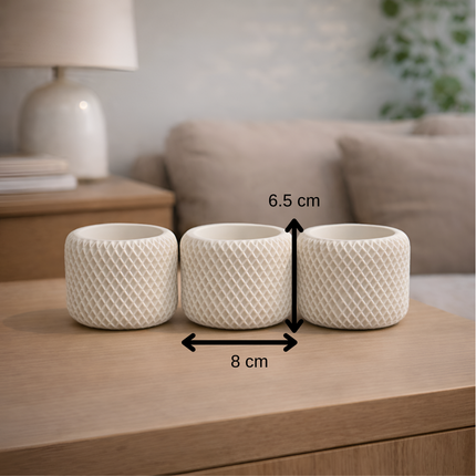 Facet Grid Sukulent Beton Saksı – 3'lü