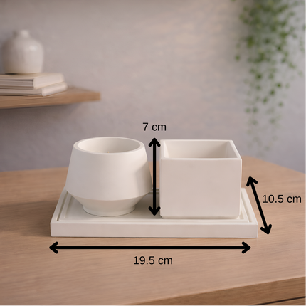 Bud Sukulent Beton Saksı – 2'li