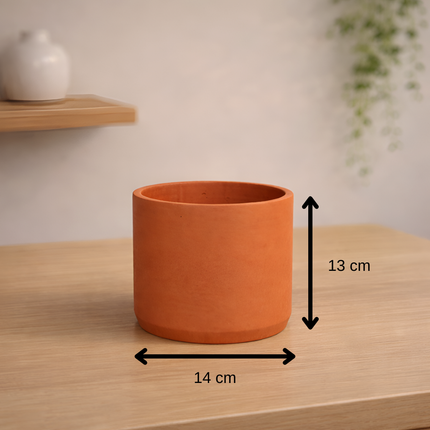 Terra Pure Beton Saksı