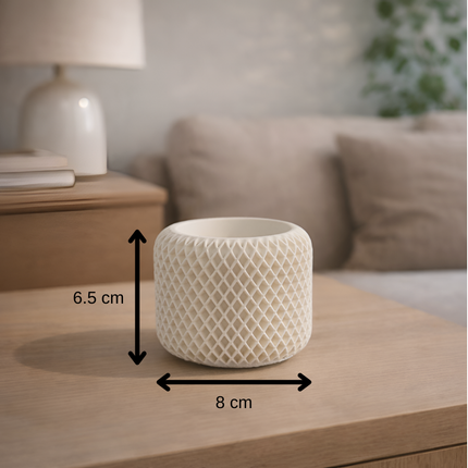 Facet Grid Sukulent Beton Saksı