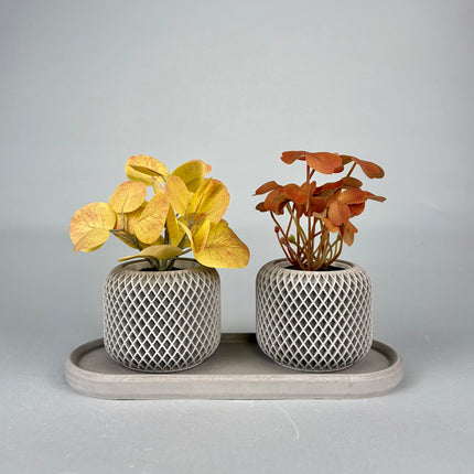 Facet Grid Sukulent Beton Saksı – 2'li (Tepsili) | Stone Grey