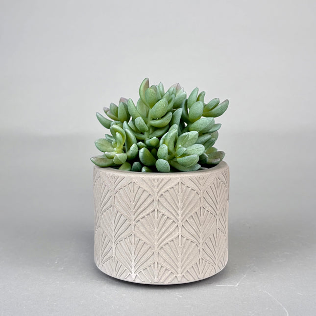 Beton Saksı – Lume Pattern