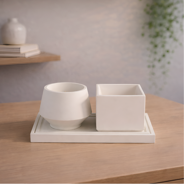 Bud Sukulent Beton Saksı – 2'li