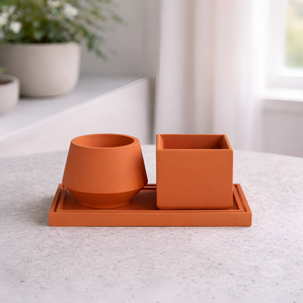 Bud Sukulent Beton Saksı – 2'li | Terracotta