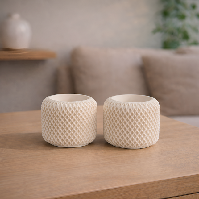 Facet Grid Sukulent Beton Saksı - 2'li