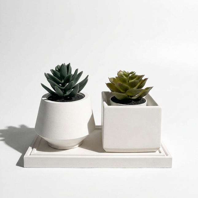 Beton Saksı – Bud 2'li