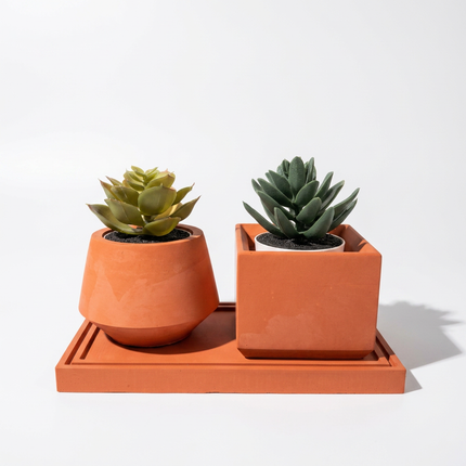 Beton Saksı – Bud 2'li