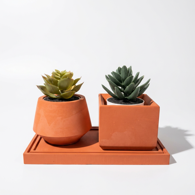 Beton Saksı – Bud 2'li