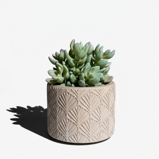 Beton Saksı – Lume Pattern