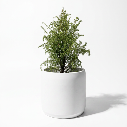 Beton Saksı – Terra Pure