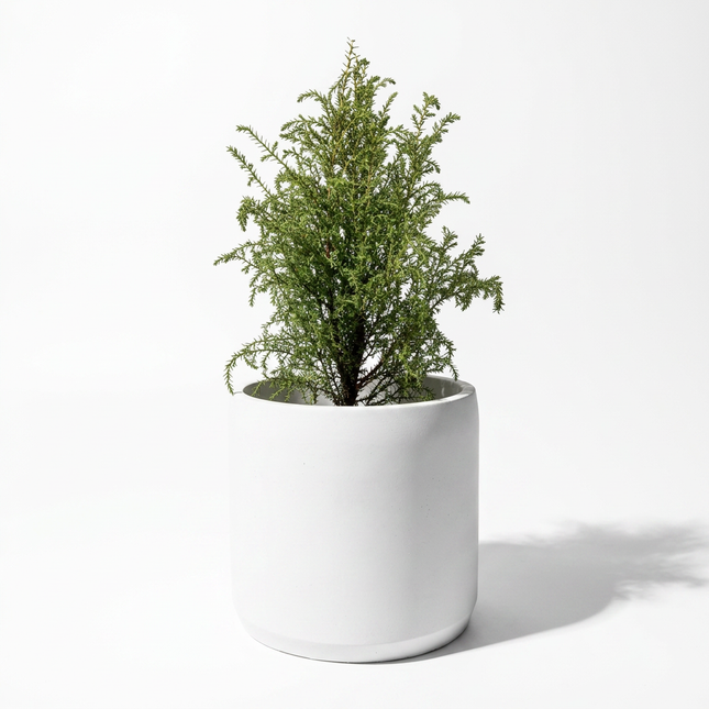 Beton Saksı – Terra Pure