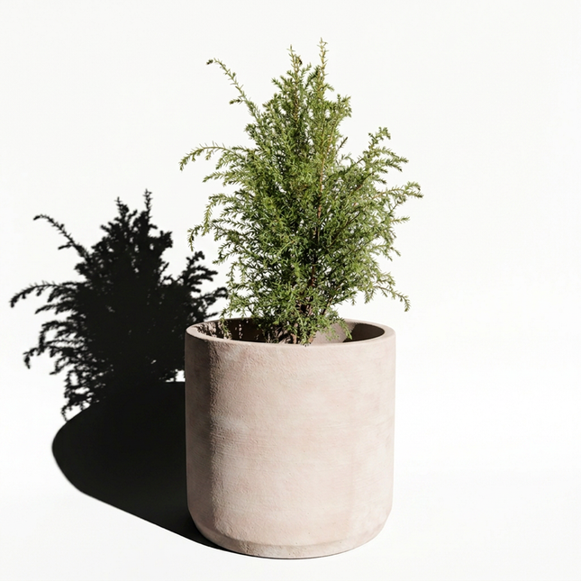 Beton Saksı – Terra Pure